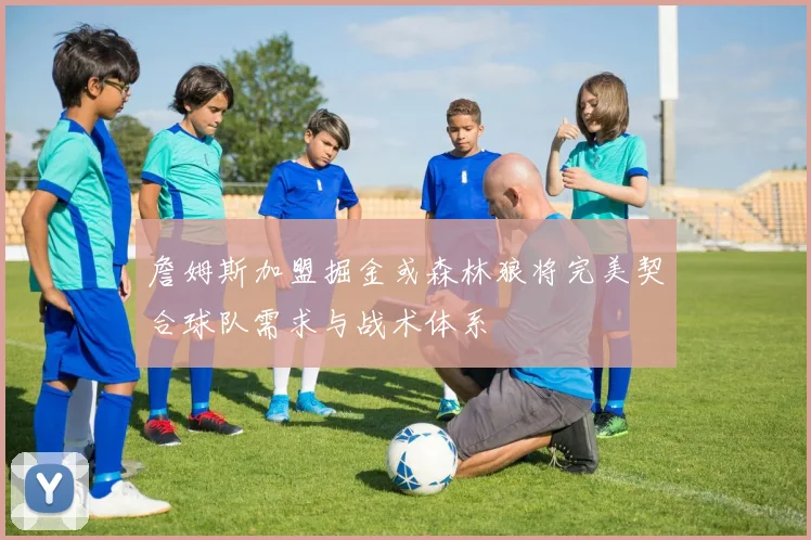 詹姆斯加盟掘金或森林狼将完美契合球队需求与战术体系